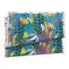 Telo mare compact dry dis.mare blu 100x170