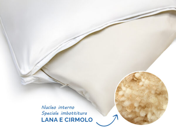 Dynamic-lana-cirmolo
