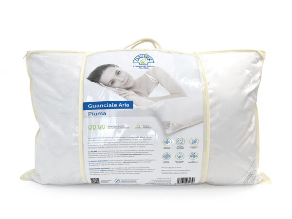 Guanciale_Aria_02 Aria