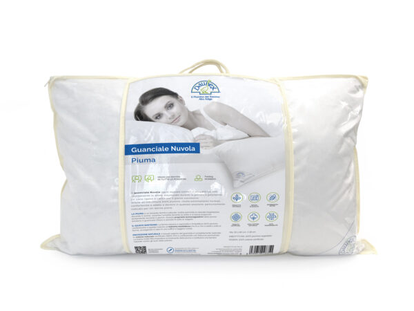 Guanciale_Nuvola_02 Nuvola