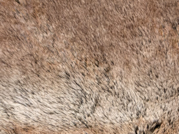 Plaid fur deluxe